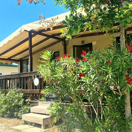 Comfortabele Familie Chalets Met Veranda Incl Airco Dichtbij Zee! Viareggio Ngoại thất bức ảnh